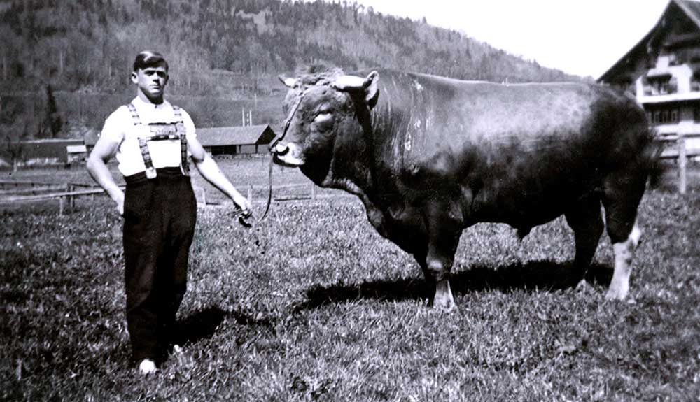 Taurin-ein-Wundermittel-fuer-den-mensch