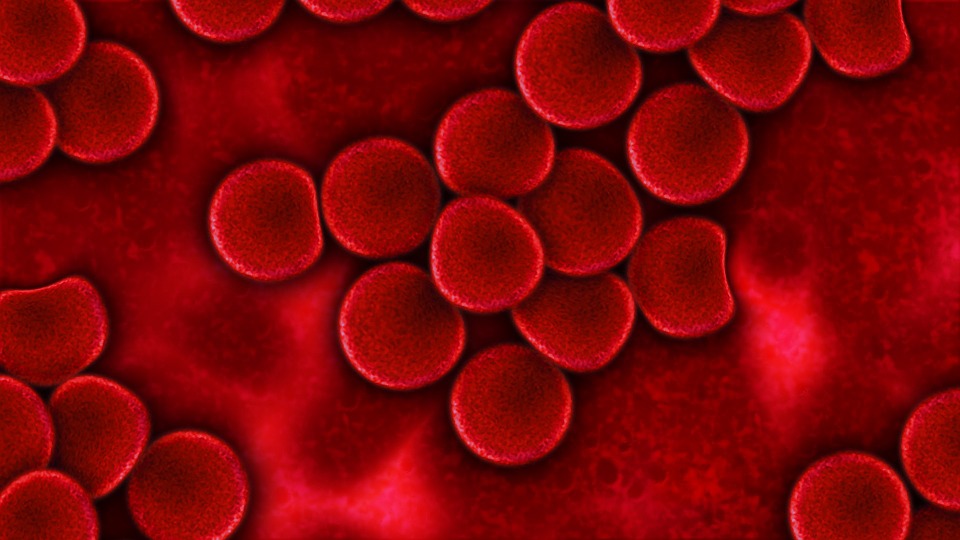 ewige-jugend-durch-blutplasma-verjuengungskur-mal-anders-healthexperts-net