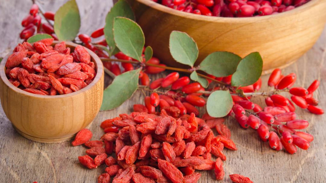 gemeiner-bocksdorn-oder-besser-gekannt-als-goji-beeren-das-ultimative-superfood-healthexperts-net