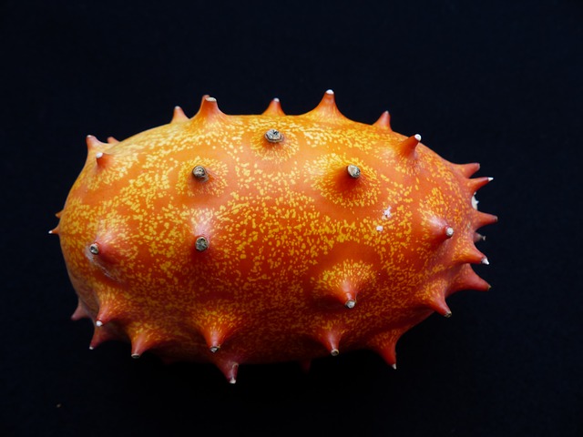 Eine Kiwano, viele Vitamine