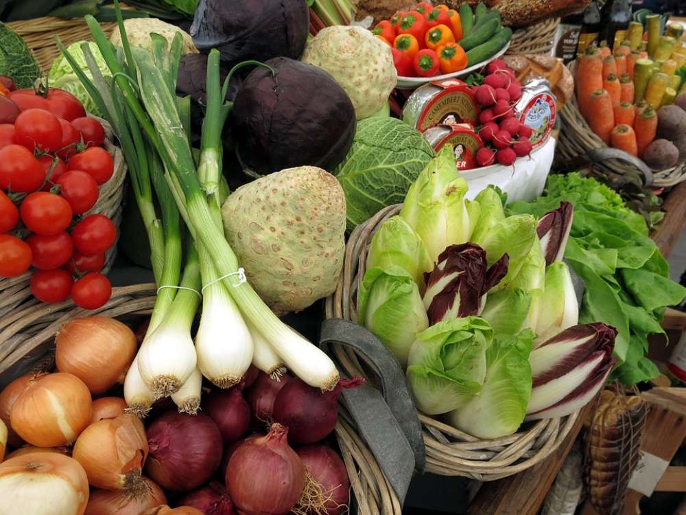 vegetarier-vorurteile-mythen-und-die-wahrheit-healthexperts-net